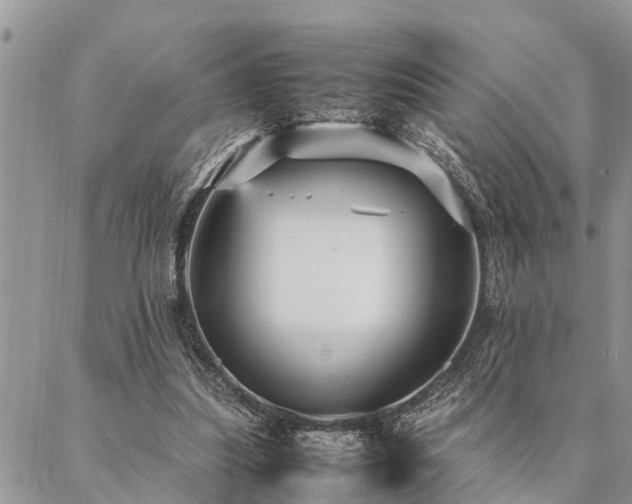 X0000087390251200704201249