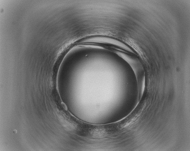 X0000087390252200704201249