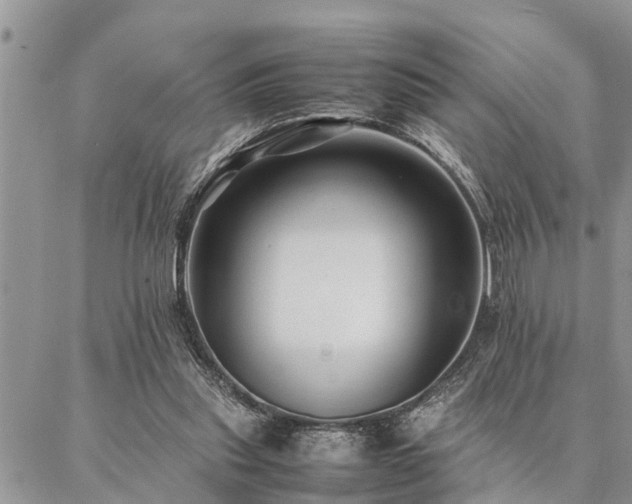 X0000087390253200704201249