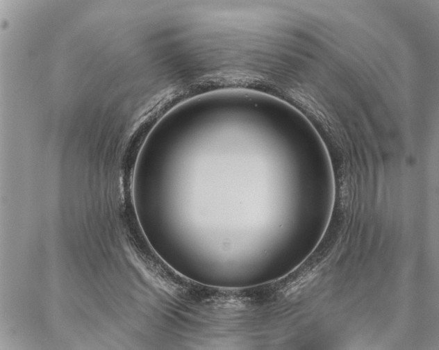 X0000087390254200704201249