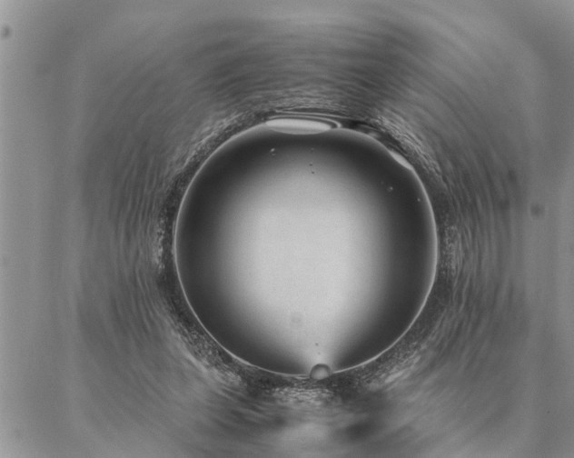 X0000087390255200704201249