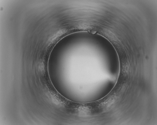 X0000087390256200704201249