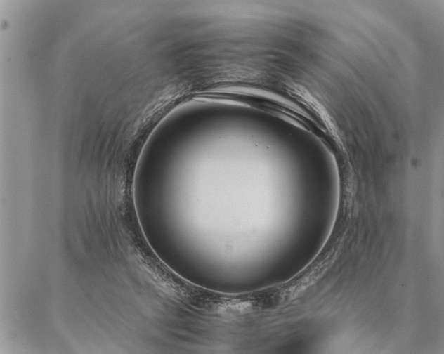 X0000087390257200704201249