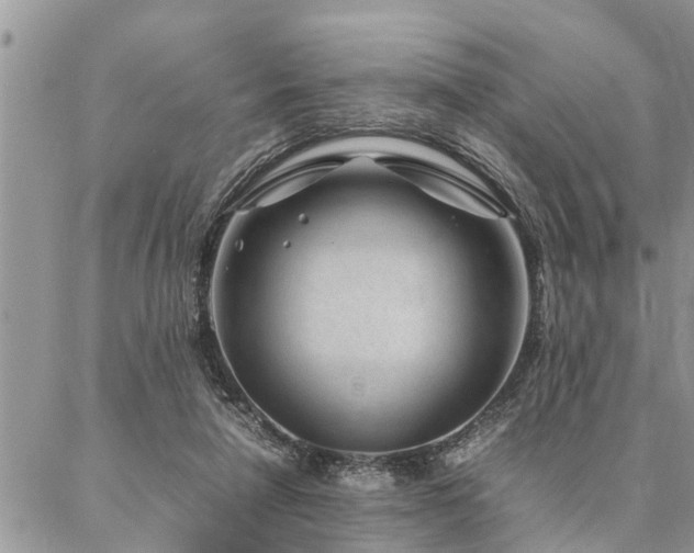 X0000087390258200704201249