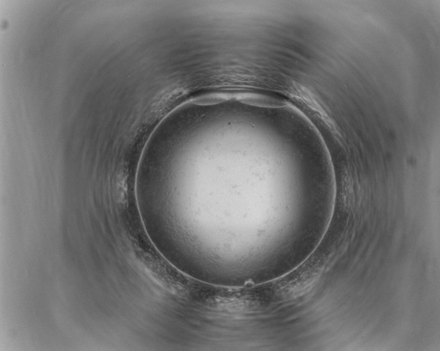 X0000087390259200704201249