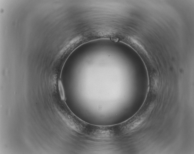 X0000087390260200704201249