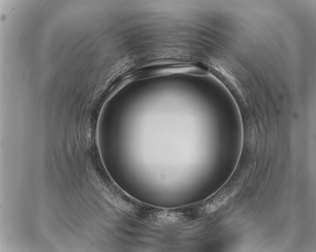 X0000087390261200704201249