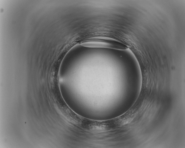 X0000087390263200704201250