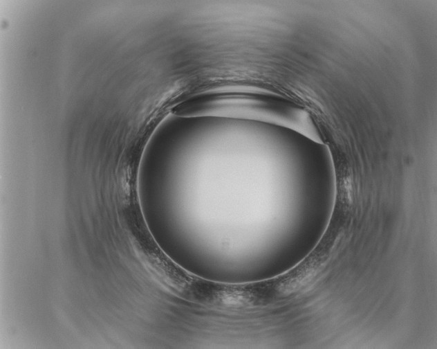 X0000087390264200704201250