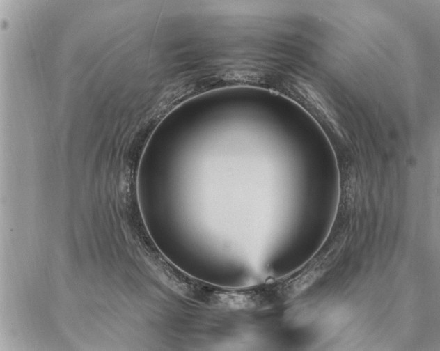 X0000087390265200704201250