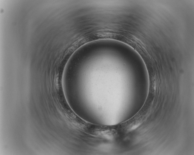 X0000087390267200704201250