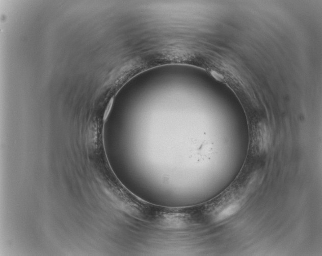 X0000087390268200704201250