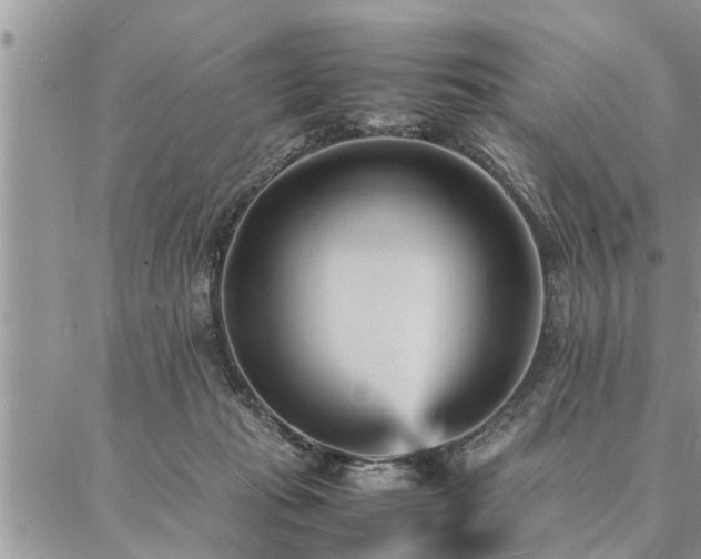 X0000087390269200704201250