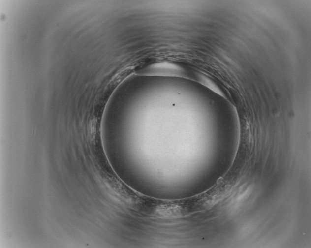 X0000087390271200704201250