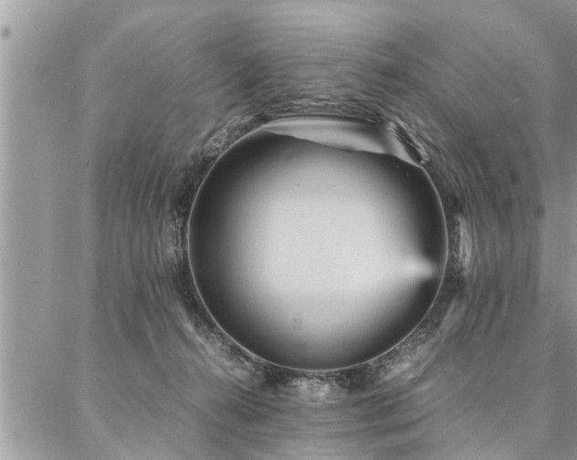 X0000087390272200704201250