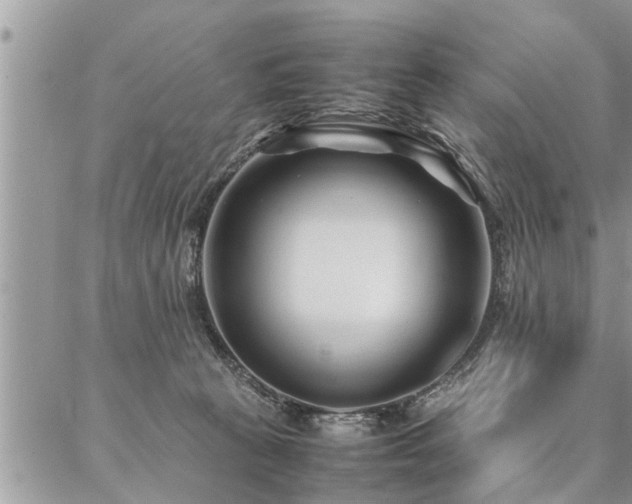 X0000087390273200704201250