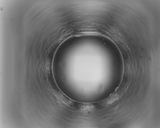 X0000087390274200704201250