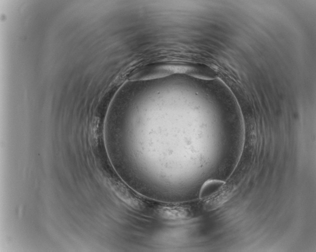 X0000087390275200704201250