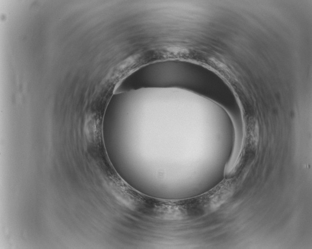 X0000087390276200704201250