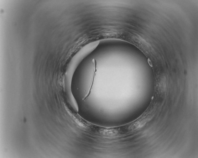 X0000087390277200704201250