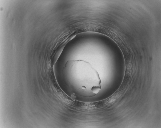 X0000087390278200704201250