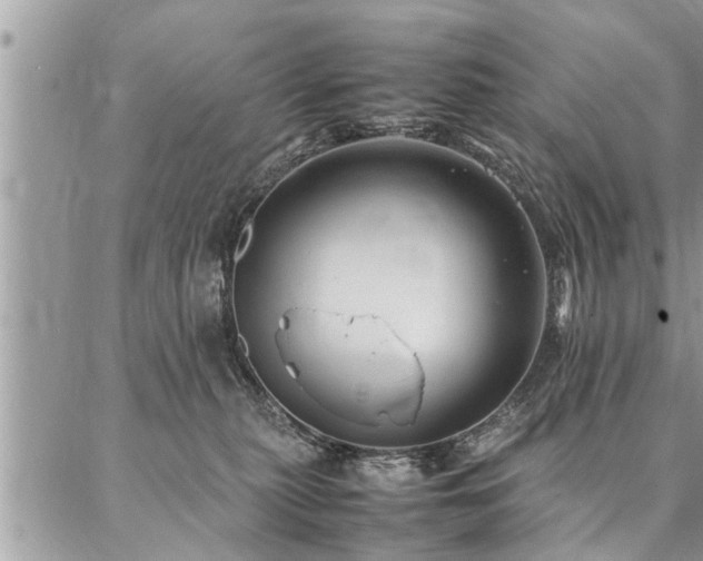 X0000087390279200704201250