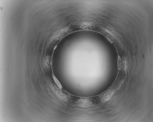 X0000087390280200704201250