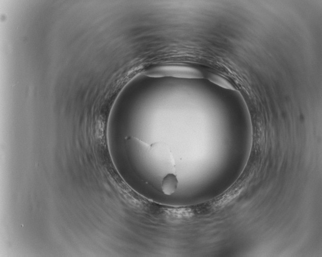 X0000087390281200704201250