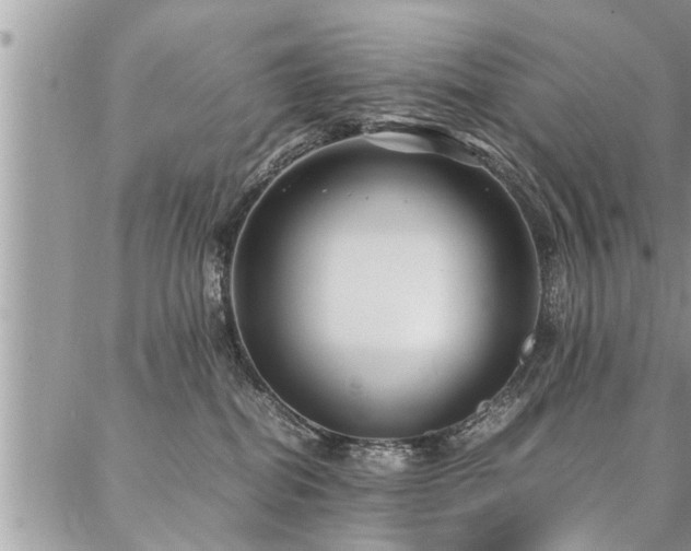 X0000087390282200704201250