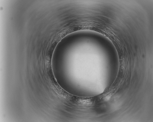 X0000087390283200704201250