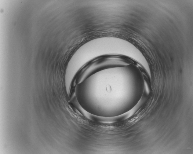 X0000087390284200704201250