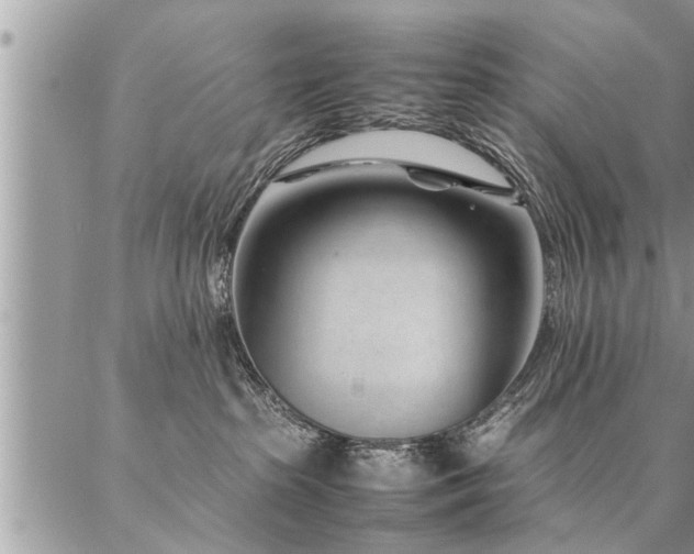 X0000087390285200704201250