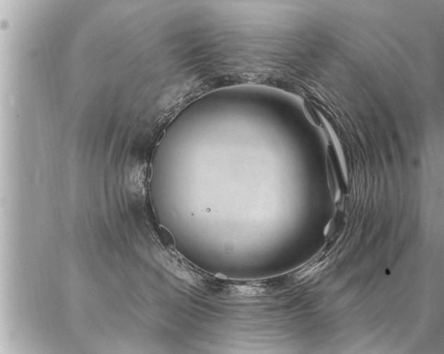 X0000087390286200704201250