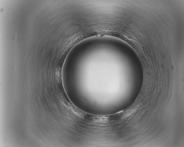 X0000087390288200704201250