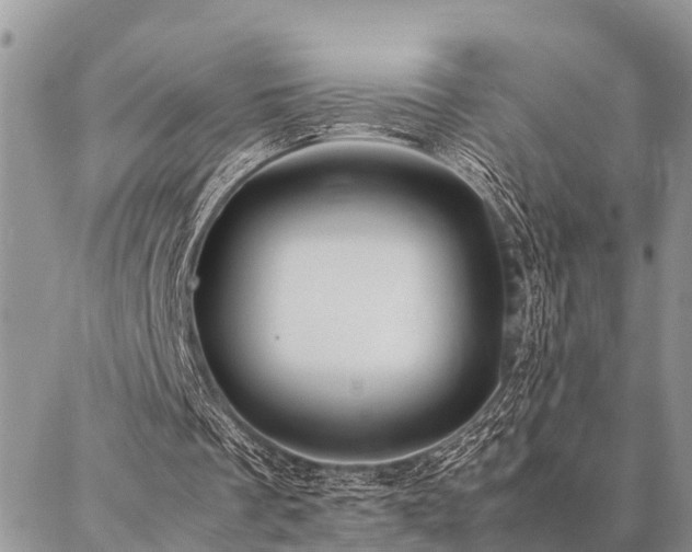 X0000087390289200704201249