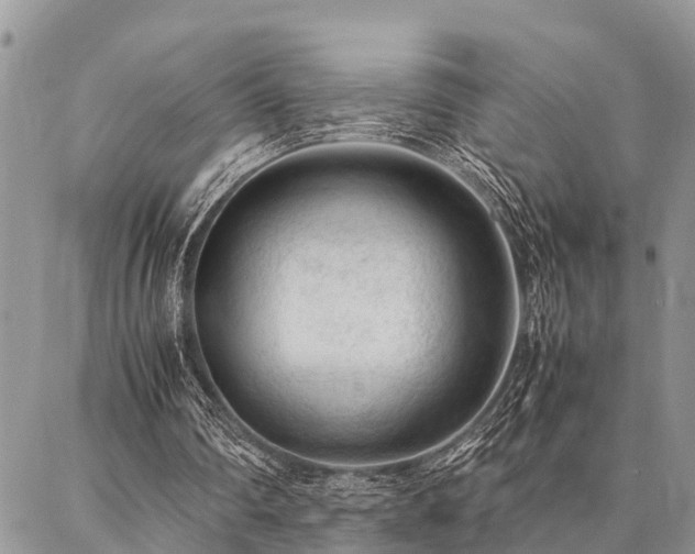 X0000087390290200704201249