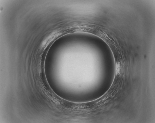 X0000087390291200704201249