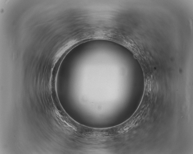 X0000087390292200704201249