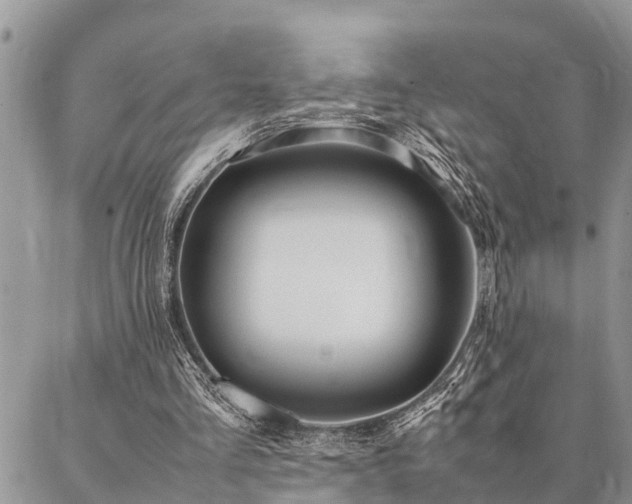 X0000087390293200704201249