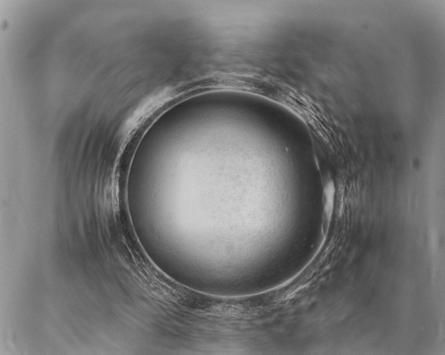 X0000087390294200704201249