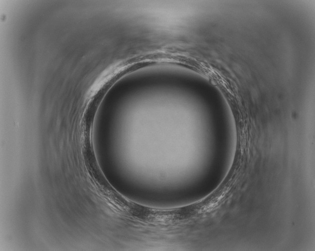 X0000087390295200704201249