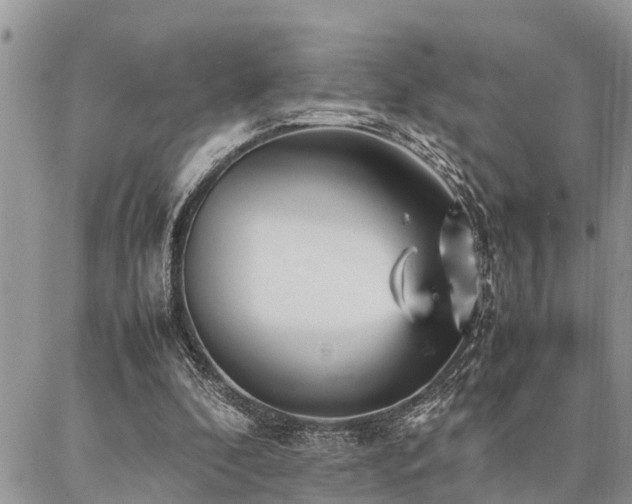 X0000087390296200704201249