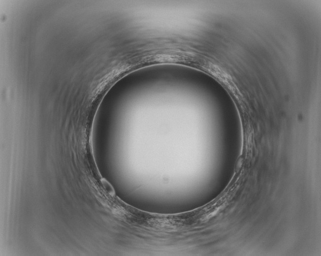 X0000087390297200704201249