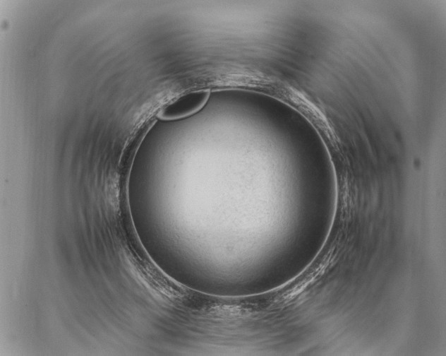 X0000087390298200704201249