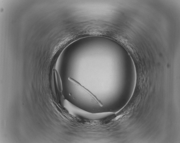 X0000087390299200704201249