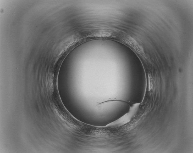 X0000087390300200704201249