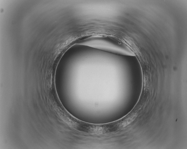 X0000087390301200704201249