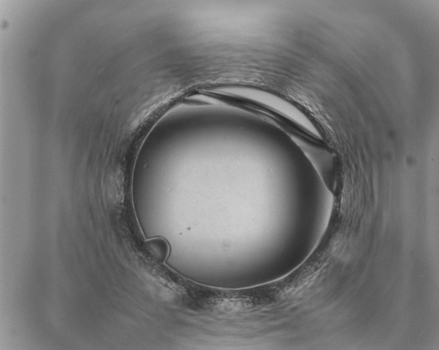 X0000087390303200704201249