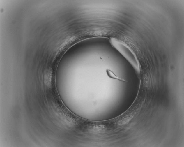 X0000087390304200704201249