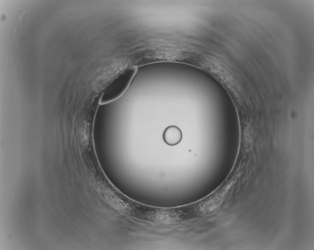 X0000087390305200704201249